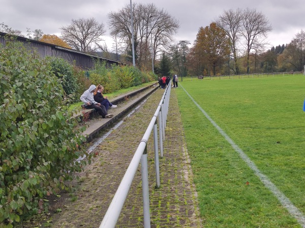 Stadion Grüne Au Nebenplatz - Selbitz
