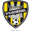 Wappen VV Gorssel diverse  115149