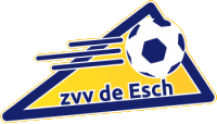 Wappen VV De Esch diverse  46584