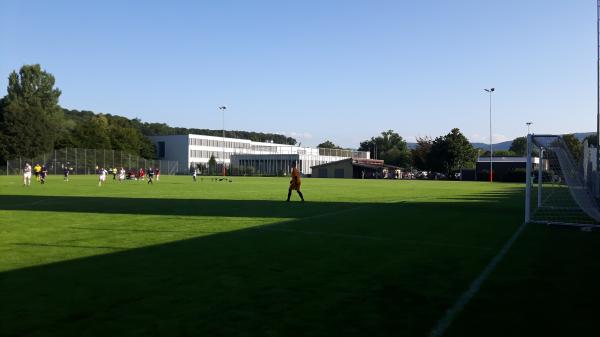 Sportplatz Eisweiher - Oberwil