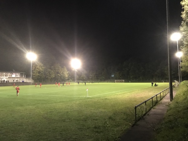 Pfarrer-Martin-Walter-Stadion - Dielheim