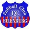 Wappen FC Eilenburg 1994 diverse