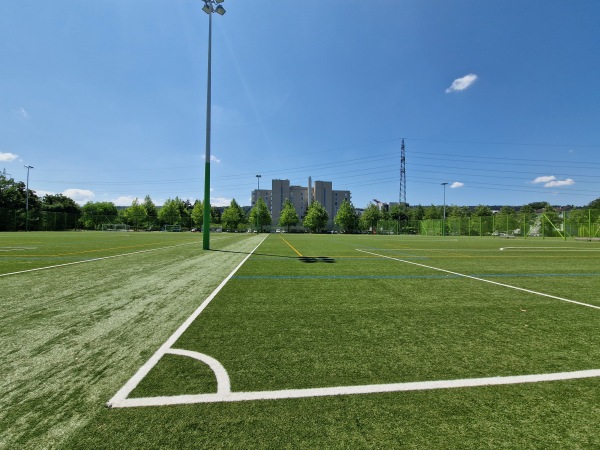 Sportanlage Heerenschürli Platz 3 - Zürich