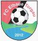 Wappen FC Elbaue Torgau 2012 diverse