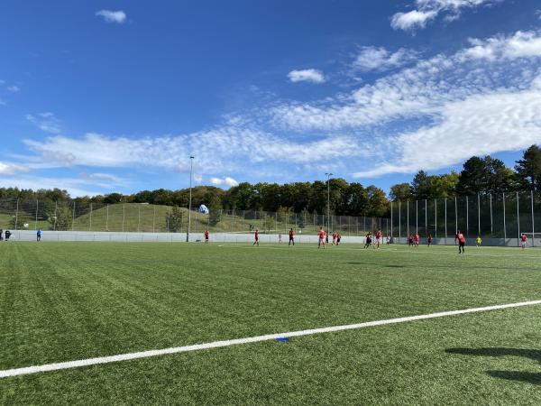 Sportanlage Allmend Platz 2 - Bern