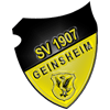Wappen ehemals SV 07 Geinsheim  88815