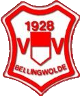 Wappen VV Bellingwolde diverse  80662