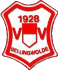 Wappen VV Bellingwolde diverse