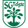 Wappen ehemals SG Telgte 1919  89499