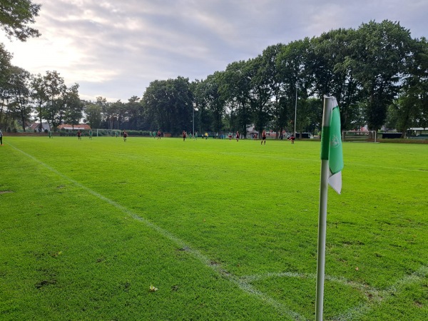 Sportanlage Hanfeldstraße B-Platz - Haren/Ems-Emmeln