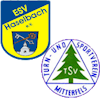 Wappen SG Haselbach/Mitterfels Reserve (Ground B)  123274