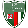 Wappen TSV Großfahner 2006 diverse