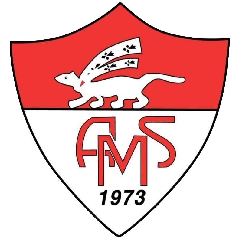 Wappen AS Ménimur Vannes diverse