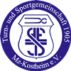 Wappen TuS 05 Kostheim II