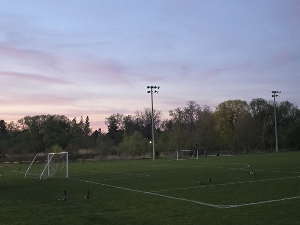 Bill Crothers Grass East - Markham, ON