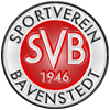 Wappen SV Bavenstedt 1946 diverse