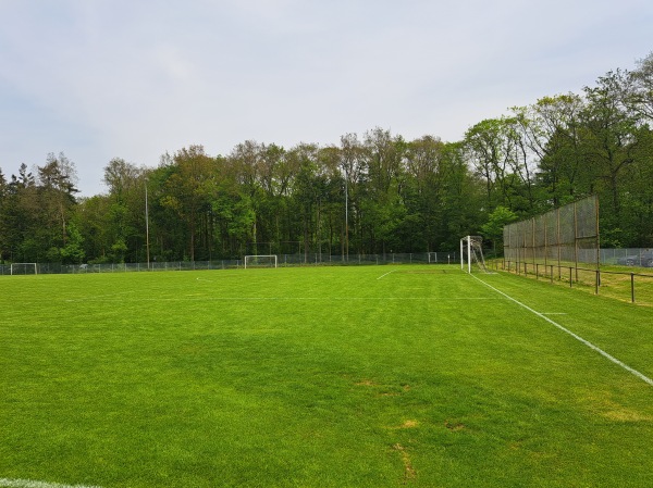 Sportpark Boerbos veld 2 - Aa en Hunze-Rolde