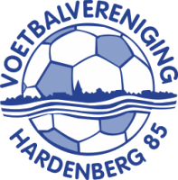 Wappen VV Hardenberg '85 diverse  120058