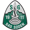Wappen SG Bad Soden 1911 diverse