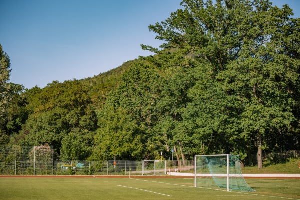 Sportanlage am Jenzig - Jena-Wenigenjena