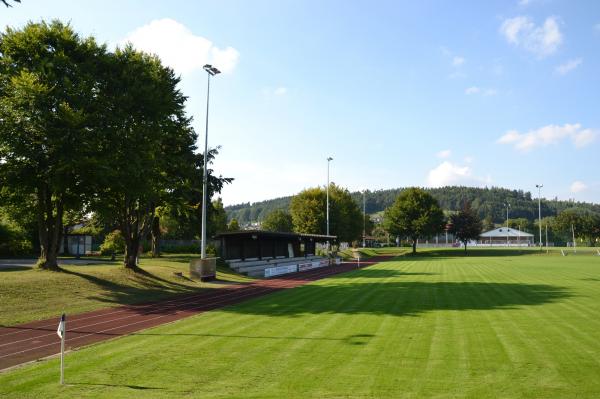 Veilchen-Arena - Aschau/Inn 