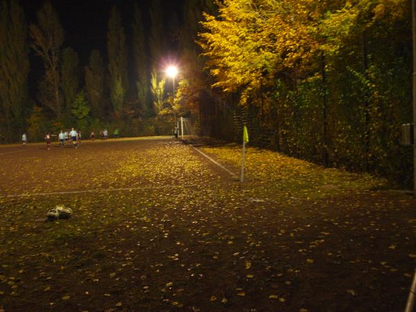 Sportanlage Everstalstraße Platz 2 - Bochum-Langendreer