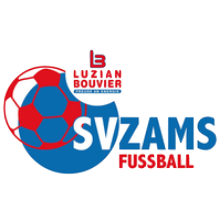 Wappen SV Zams diverse  128623