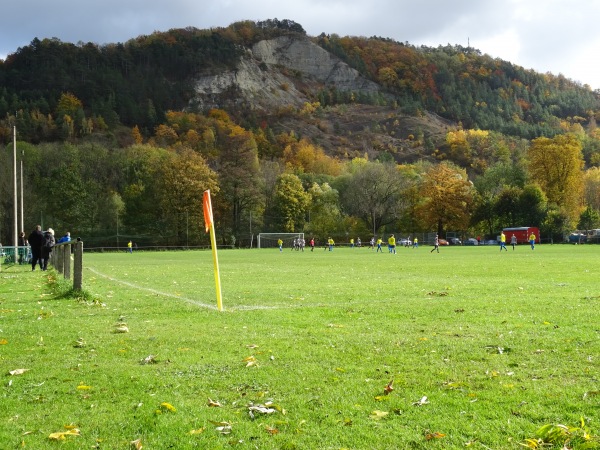 Sportplatz am Saalesteg - Kahla