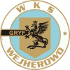 Wappen WKS Gryf Wejherowo diverse
