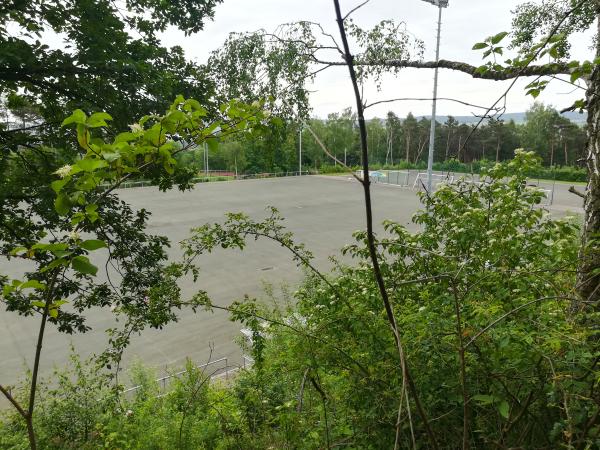Waldstadion Nebenplatz 1 - Eisenberg/Pfalz