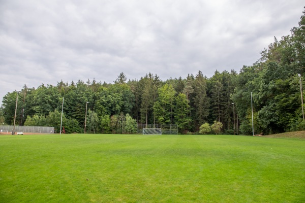 Andreas Faust Sportgelände Platz 2 - Walsdorf/Oberfranken