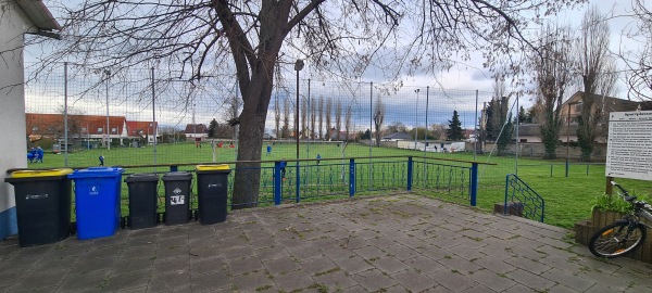 Sportplatz Biere - Bördeland-Biere