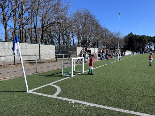 Waldsportzentrum am Immenweg Platz 4 - Nordhorn