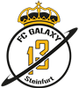 Wappen FC Galaxy Steinfurt 2013 II