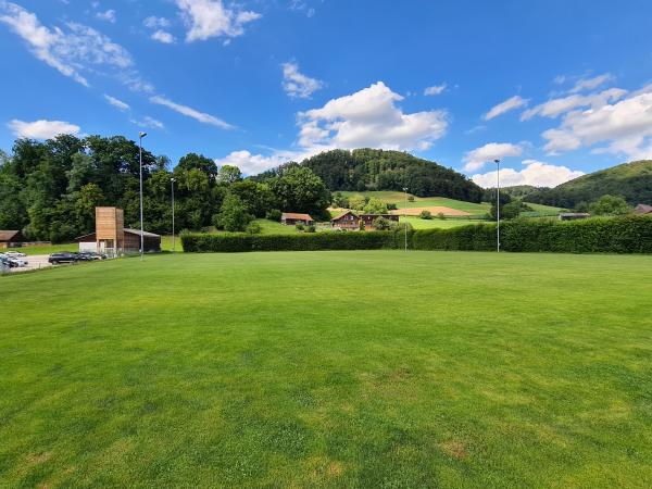 Sportplatz Kleinfeld Platz 2 - Reiden