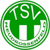 Wappen TSV Neudrossenfeld 1924 diverse  100117
