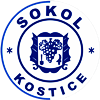 Wappen TJ Sokol Koštice  103184