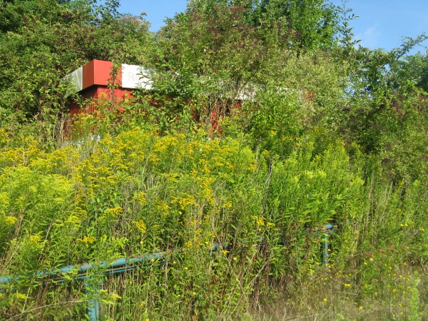 Sportanlage Eisenhüttenstraße - Salzgitter-Thiede-Steterburg