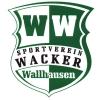 Wappen SV Wacker Wallhausen 1990 diverse