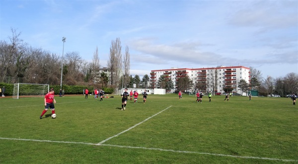 Sportplatz Europaschule - Wiener Neustadt
