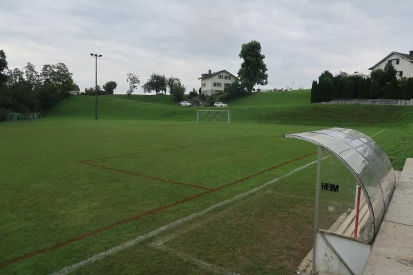 Sportplatz Dammweg - Goldach