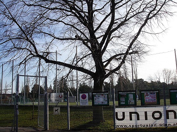 Sportplatz Union Mauer - Wien