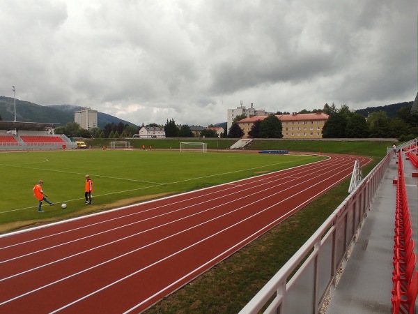 Mestské športové kluby Považská Bystrica - Považská Bystrica