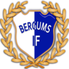 Wappen Bergums IF diverse  157948