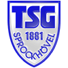 Wappen TSG 1881 Sprockhövel II