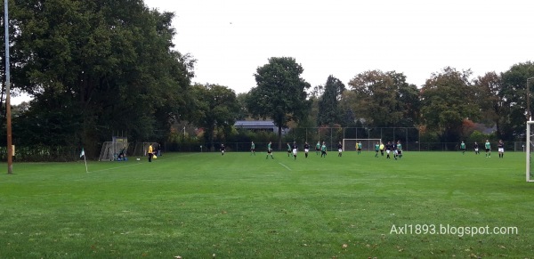 Sportpark De Kampen veld 3 - Raalte-Heino