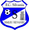 Wappen CS Sportul 2007 Șimleu Silvaniei diverse