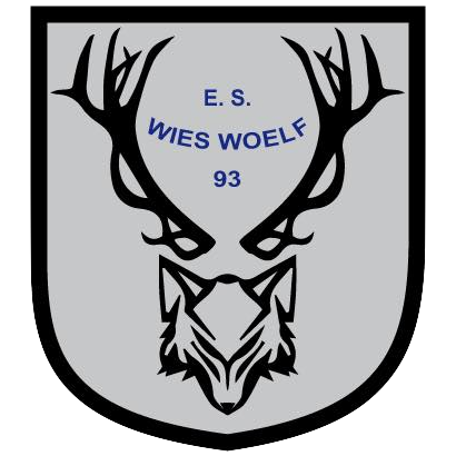 Wappen ES Wies Woelf 93 diverse