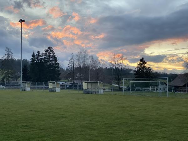 Sportplatz Im Heuel Platz 2 - Rümlang