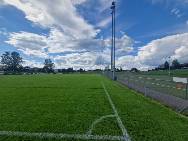 Sportplatz Beichlen Platz 3 - Wädenswil